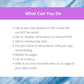 BUNDLE of 7 Investment Playbooks in Canva