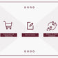 Email eCourse Template | Newsletter Template | Editable Stay Motivated to Exercise